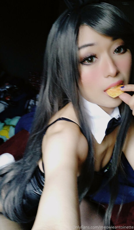 Meowieantoinette