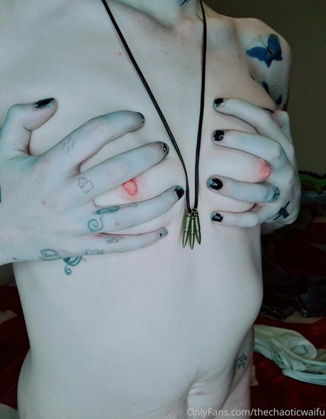 Thechaoticwaifu
