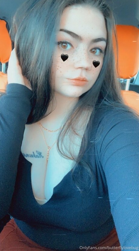 Butterflylovebug