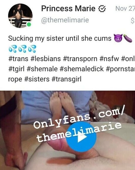 Themelimarie