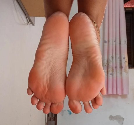 Priifeet