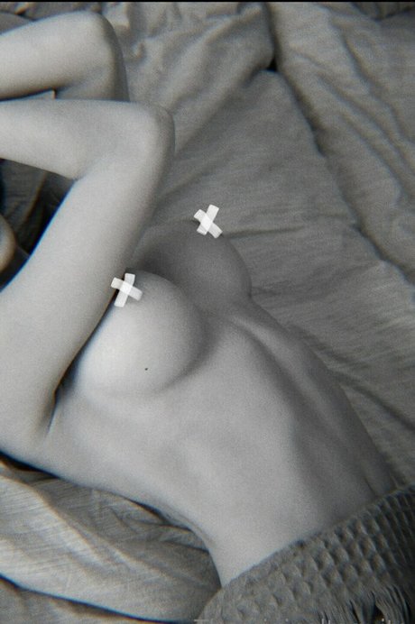 The Original Taquito