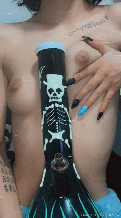 Venus Kitty