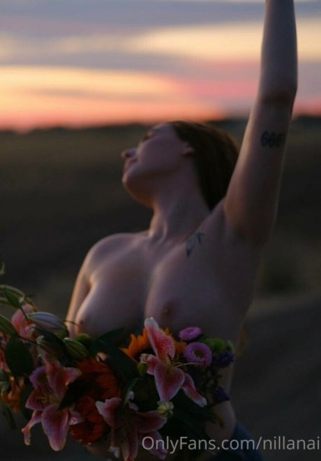 Nillanai