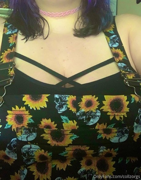 Collzorgs