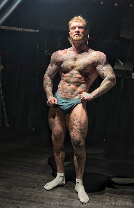 Therealvanillagorilla