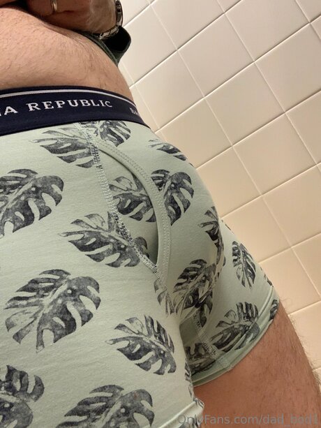 Dad Bod1