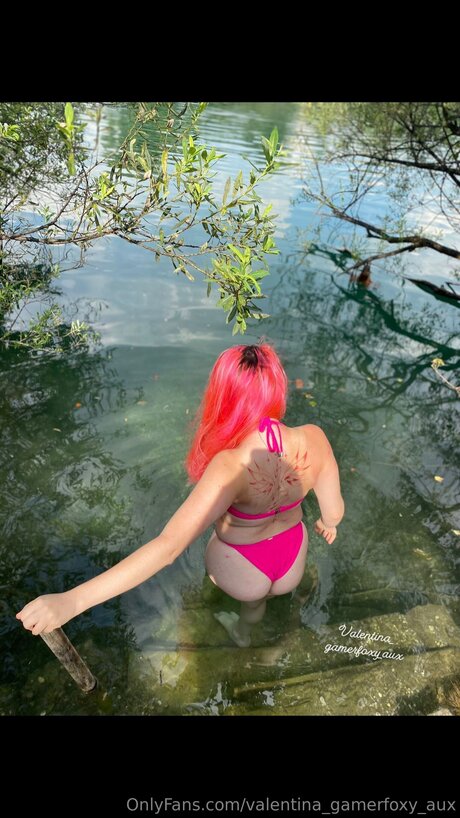 Valentina Gamerfoxy Aux