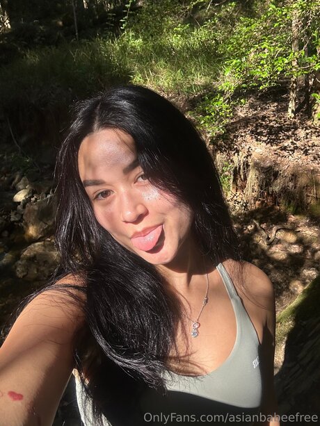 Asianbabeefree