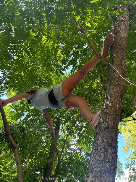 Missbadteacheracademy