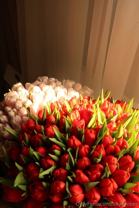 Tinaember  nude leaked OnlyFans photo