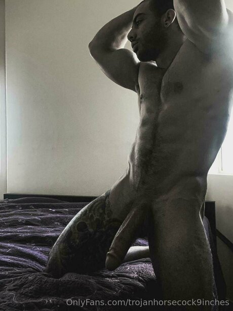Trojanhorsecock9inches