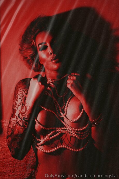 Candicemorningstar