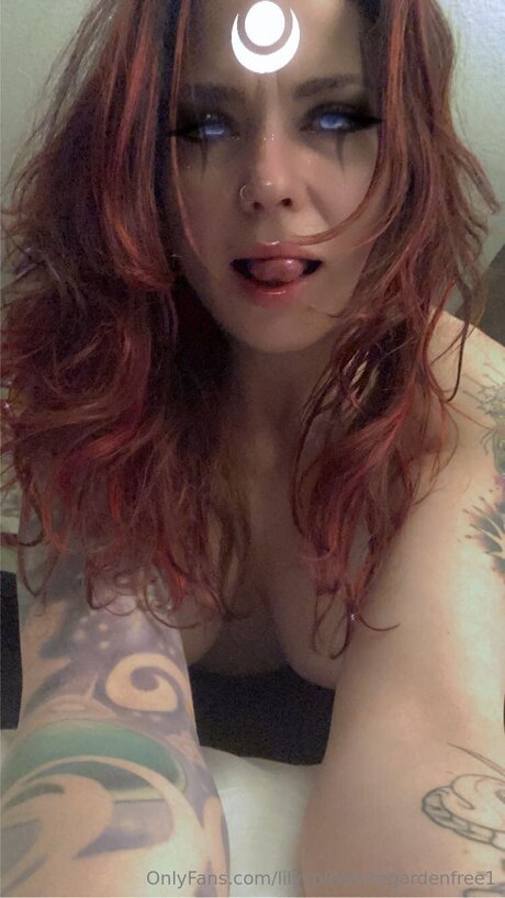 Lilyspleasuregardenfree1