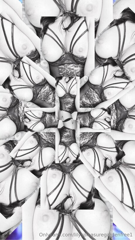 Lilyspleasuregardenfree1