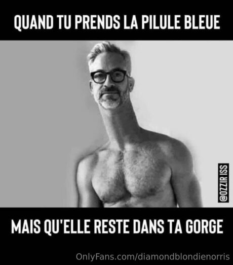 Diamondblondienorris