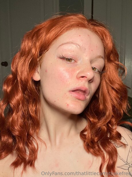 Thatlittlecarrotcakefree