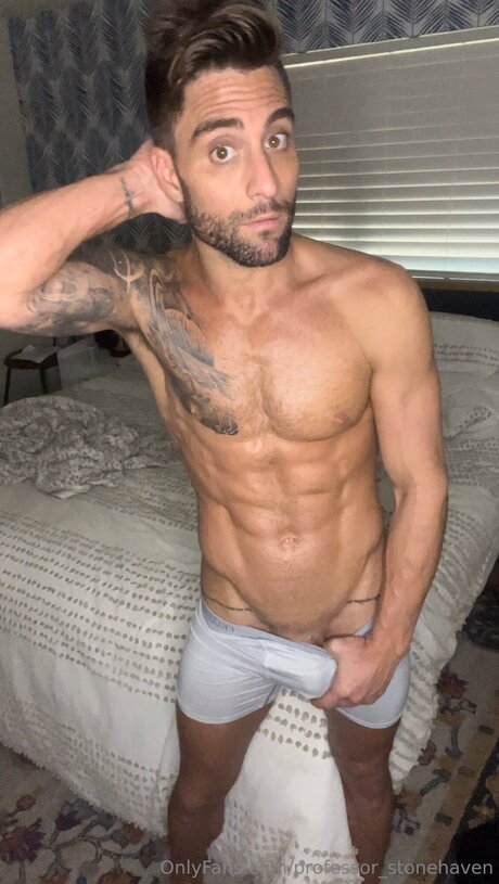 Professor Stonehaven