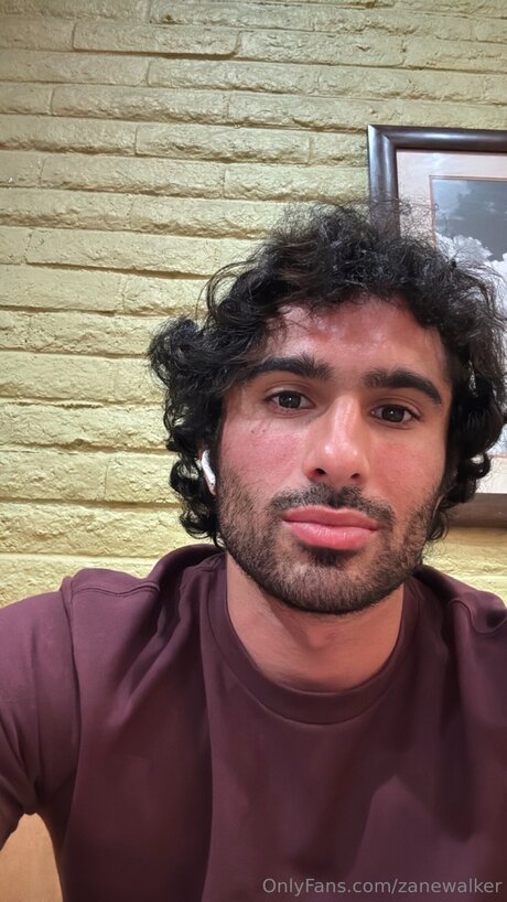 Zanewalker