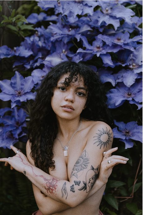 Spicymarii Lilfairymari