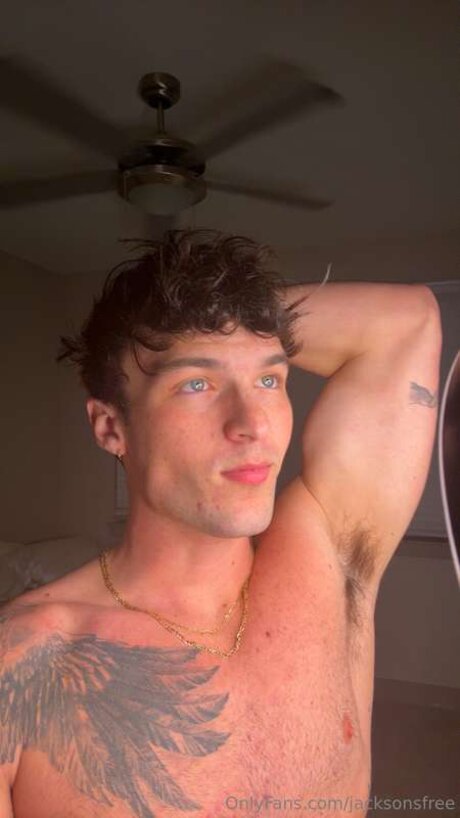 Jacksonsfree