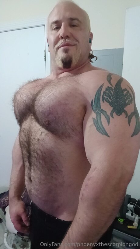 Phoenyxthescorpiongod