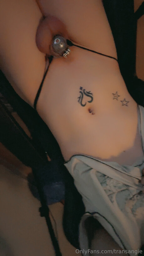 Transangie