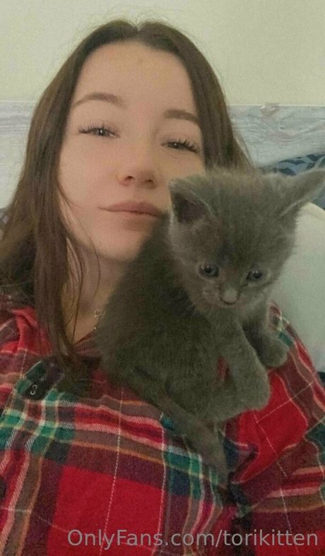 Torikitten