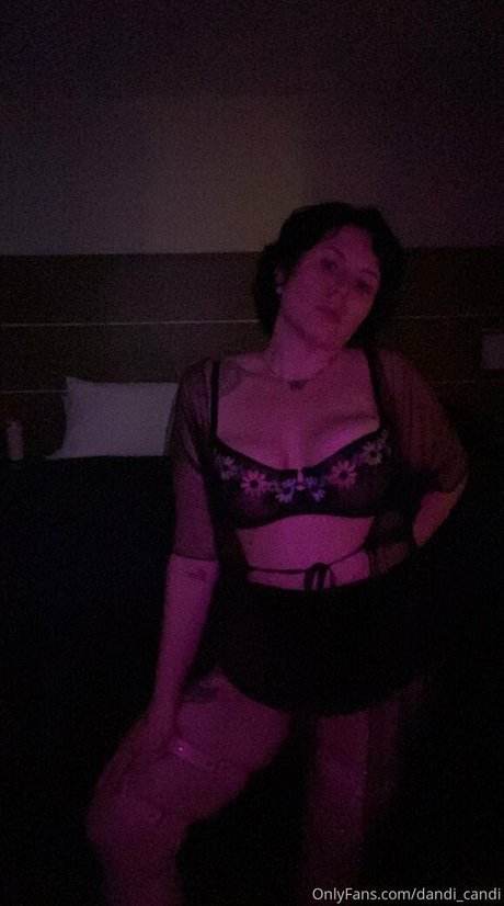 Dandicandi