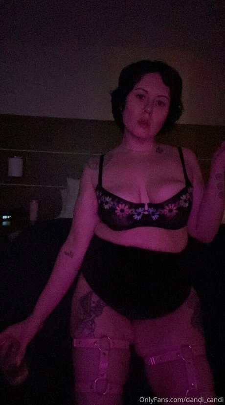 Dandicandi