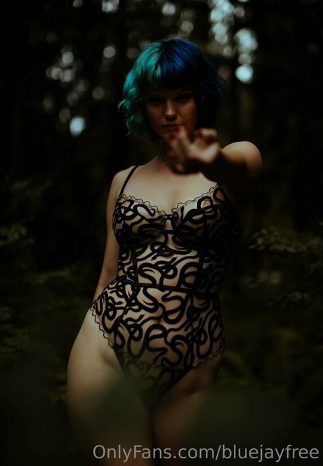 Bluejayfree