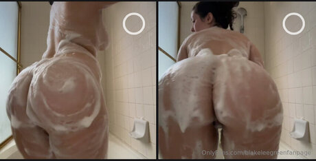 Blakeleegreenfanpage