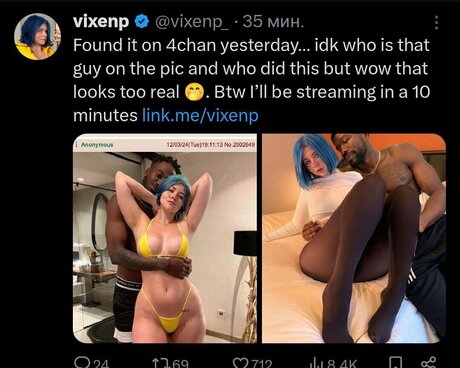 Vixenp