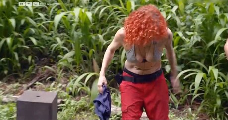 Ich Bin Ein Star  Holt Mich Hier Raus