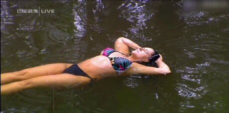 Ich Bin Ein Star  Holt Mich Hier Raus