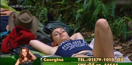 Ich Bin Ein Star  Holt Mich Hier Raus