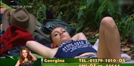 Ich Bin Ein Star  Holt Mich Hier Raus