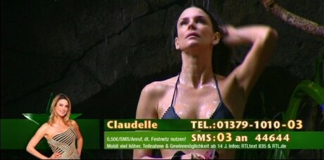 Ich Bin Ein Star  Holt Mich Hier Raus