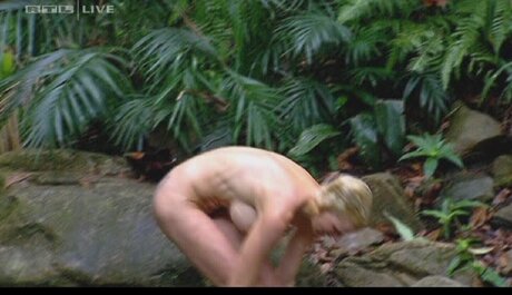 Ich Bin Ein Star  Holt Mich Hier Raus