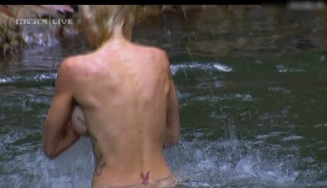 Ich Bin Ein Star  Holt Mich Hier Raus