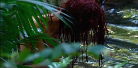 Ich Bin Ein Star  Holt Mich Hier Raus