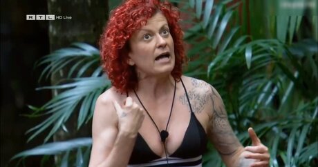 Ich Bin Ein Star  Holt Mich Hier Raus