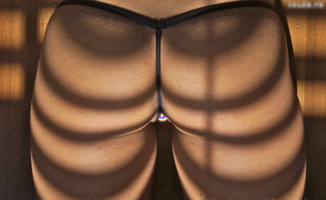 Microminimus Amp Wicked Weasel Models