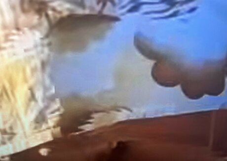 Sailing The Far Side