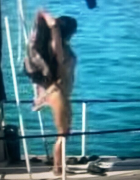 Sailing The Far Side