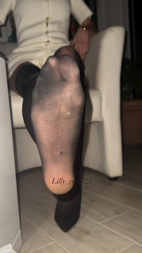 Lillyrosee23