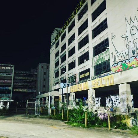 Kinkster Kitty Laika