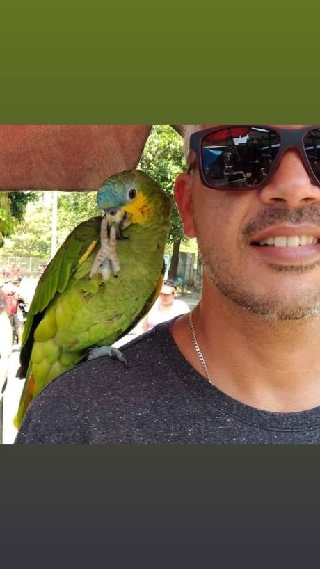 Marcello Rio De Janeiro