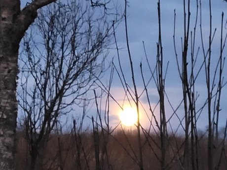 Promo Miss Shadow Free