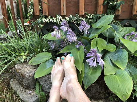 No Pussi Footn Around